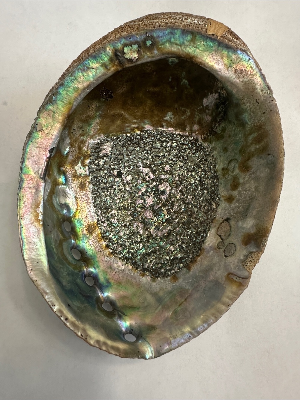 Iridescent Abalone Shell Decorative Bowl - Natural Green Blue Sheen. 7x2.25 inch